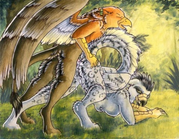 furry.booru.org siterip 96,000~97,999 cover