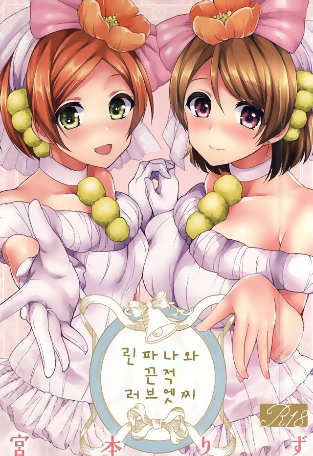 RinPana to Icha Love Ecchi | 린파나와 끈적 러브 엣찌 page 1 full
