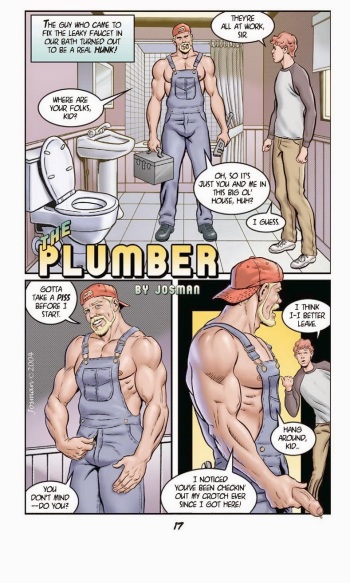 The Plumber cover