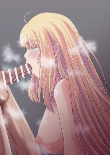 エルフとヤりまくるお話 cover