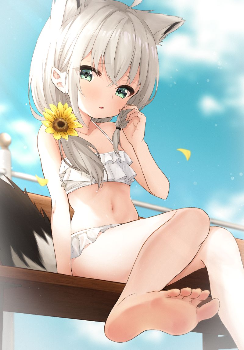pixiv Shirakami Fubuki 3000+❤ page 5 full