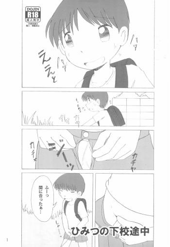 Himitsu no Gekou chuu cover