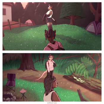 Among the Ferns cover