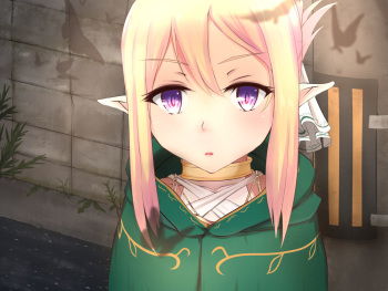 Elf no Ohime-sama ni Sasowarete Isekai Teni shitara, Dorei ni Sarete, Yoru wa Yasumaru Hi no Nai Hanashi cover