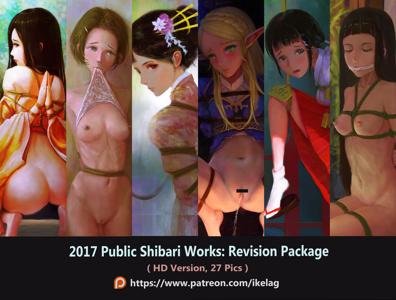 2017 Shibari revision HD page 1 full