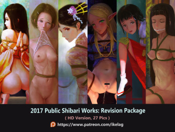 2017 Shibari revision HD cover
