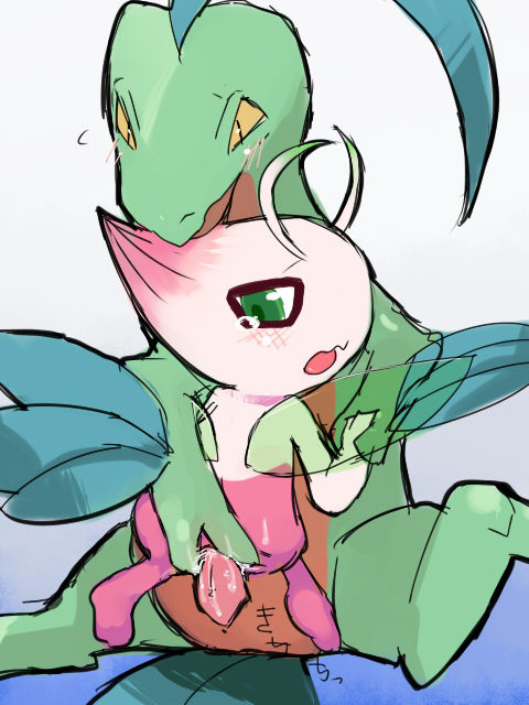 pokephilia.booru.org siterip 0~1,999 page 6 full