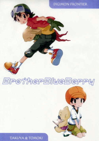 Brother Blue Berry cover
