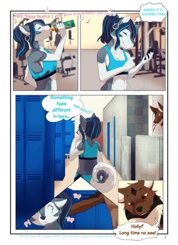 Co-Ed Lockers cover