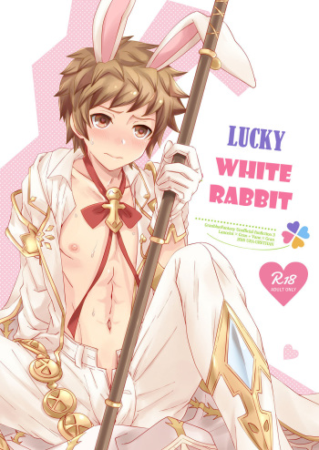 Shiawase White Rabbit cover