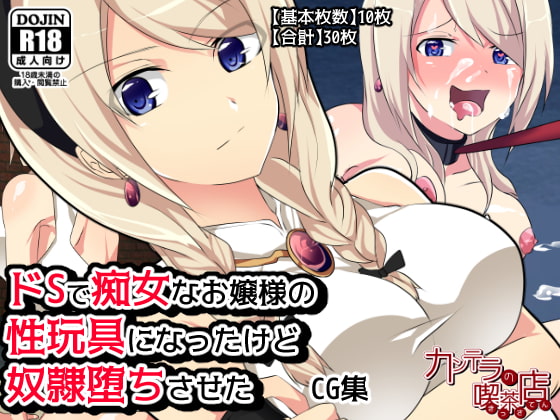 Do-S de Chijo na Ojou-sama no Seigangu ni Natta kedo Dorei Ochi Saseta page 1 full