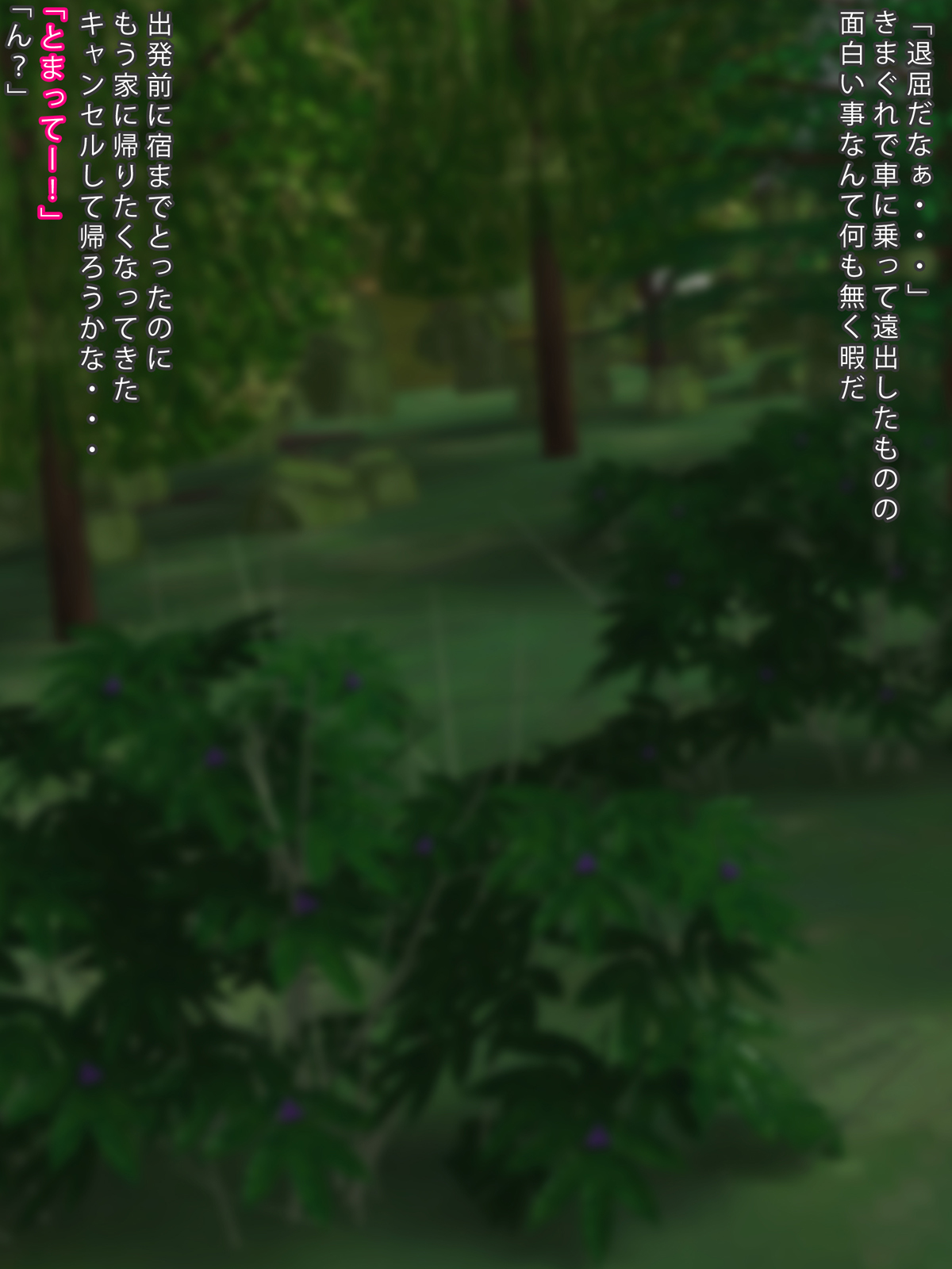 Hitchhike Shiteita Onnanoko to Iku Sakizaki de Sex Zanmai no Tabi! page 2 full