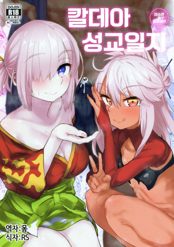 Chaldea Seikou Nisshi Chloe Hen &amp; Mash Hen | 칼데아 성교일지 마슈편 &amp; 클로에편 cover