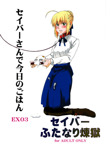 Saber-san de Kyou no Gohan cover
