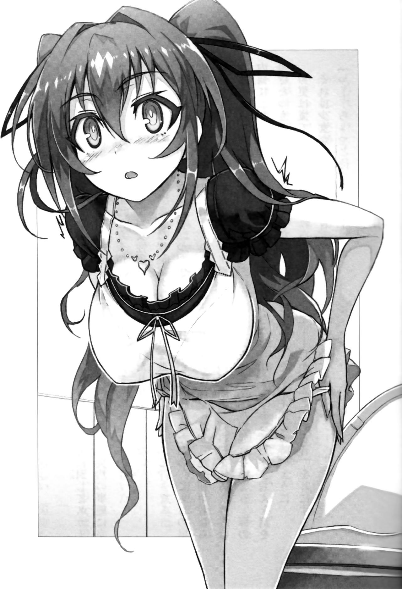 Shinmai Maou no Testament Light Novel Illustrations page 7 full