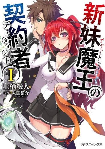 Shinmai Maou no Testament Light Novel Illustrations cover
