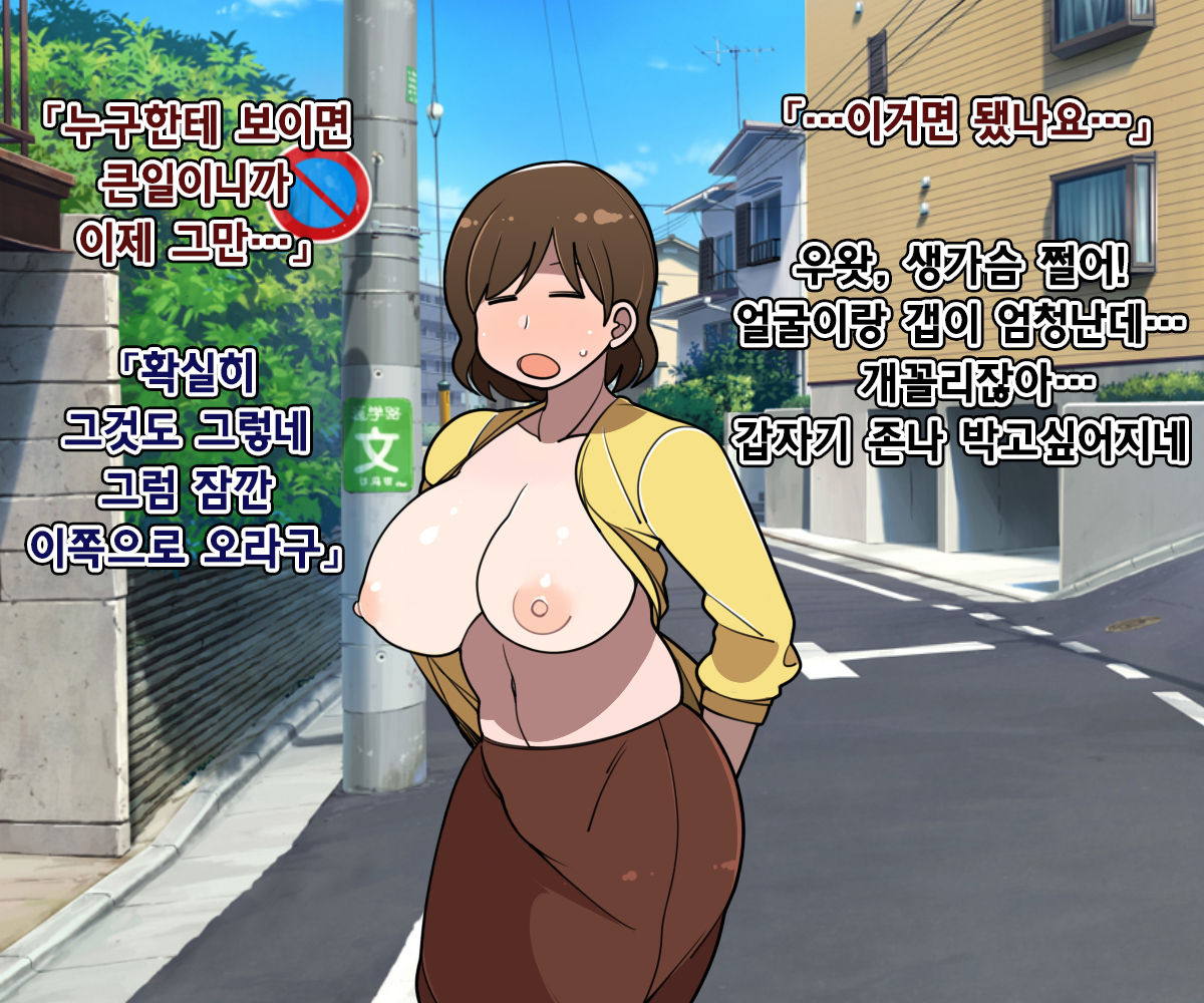 Senme de Kyonyuu de Myourei na Onee-san o Jibun no mono ni suru made no Ichibu Shijuu | 실눈에 거유인 묘령의 누님을 내것으로 만들기까지의 자초지종 page 9 full