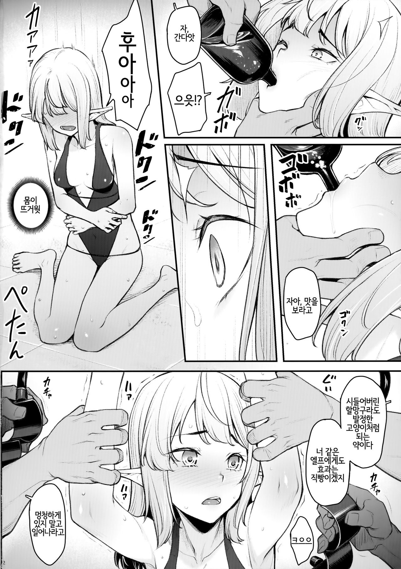 Elf Midare Midara | 엘프 문란 음란 page 4 full