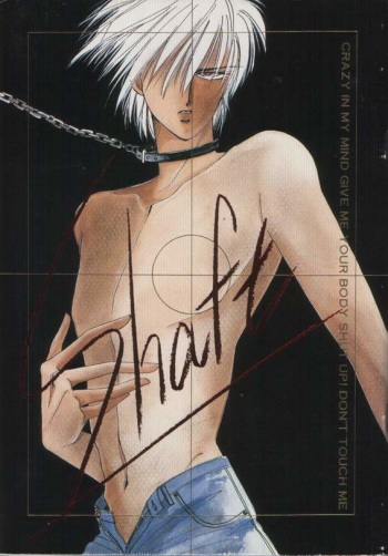 Shaft cover