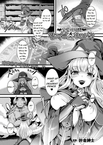 Ippatsu Gyakuten!? Ouji-sama Shoukan Mahou cover