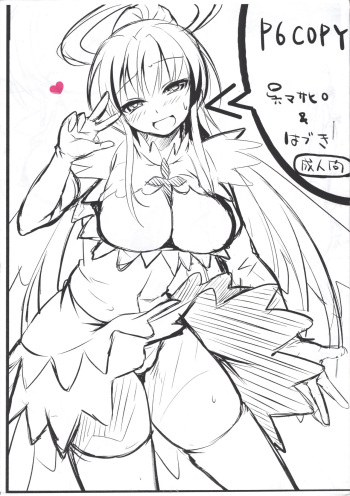 P6COPY cover