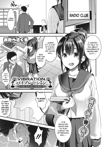 Vibration cover