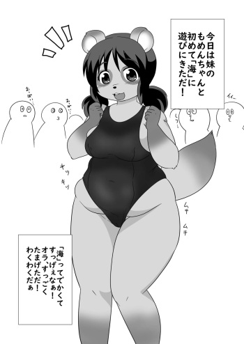 Tanukko Vacation cover