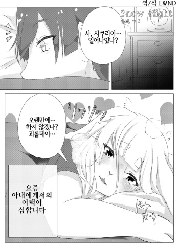 Snow Night cover