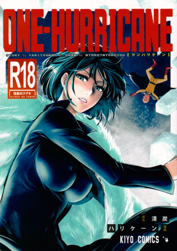 ONE-HURRICANE cover