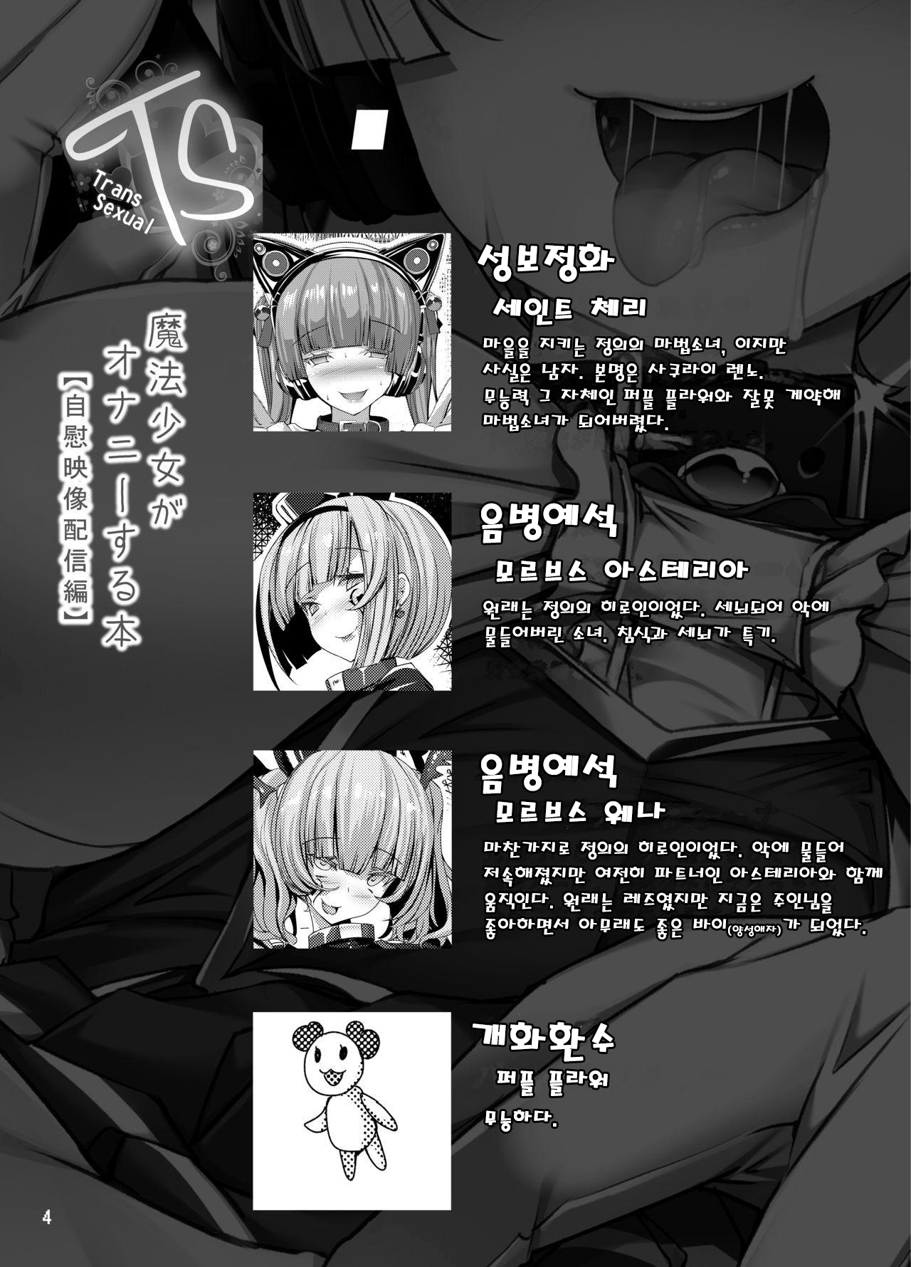 TS Mahou Shoujo Ga Onanie Suru Hon ~Jii Eizou Haishin Hen~ | TS마법소녀가 오나니하는 책～자위영상방송편～ page 4 full