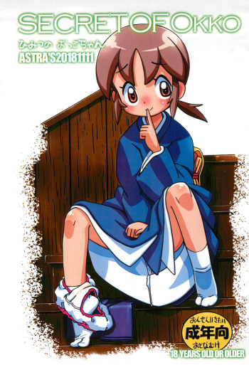 SECRET OF OKKO cover