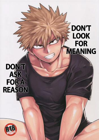 Imi o Sasuna Riyuu o Touna | Don't Look for Meaning, Don't Ask for a Reason cover