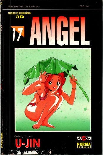 Angel 17 cover