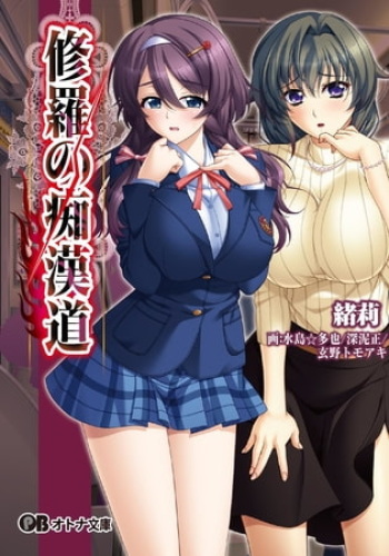 Shura No Chikandou - Light Novel【PV】 cover