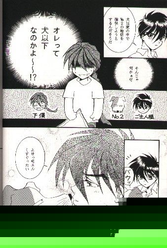 SNOW GARDEN page 7 full