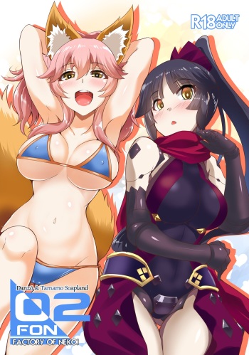 FACTORY OF NEKOI 02 Danzou to Tamamo no Soapland cover
