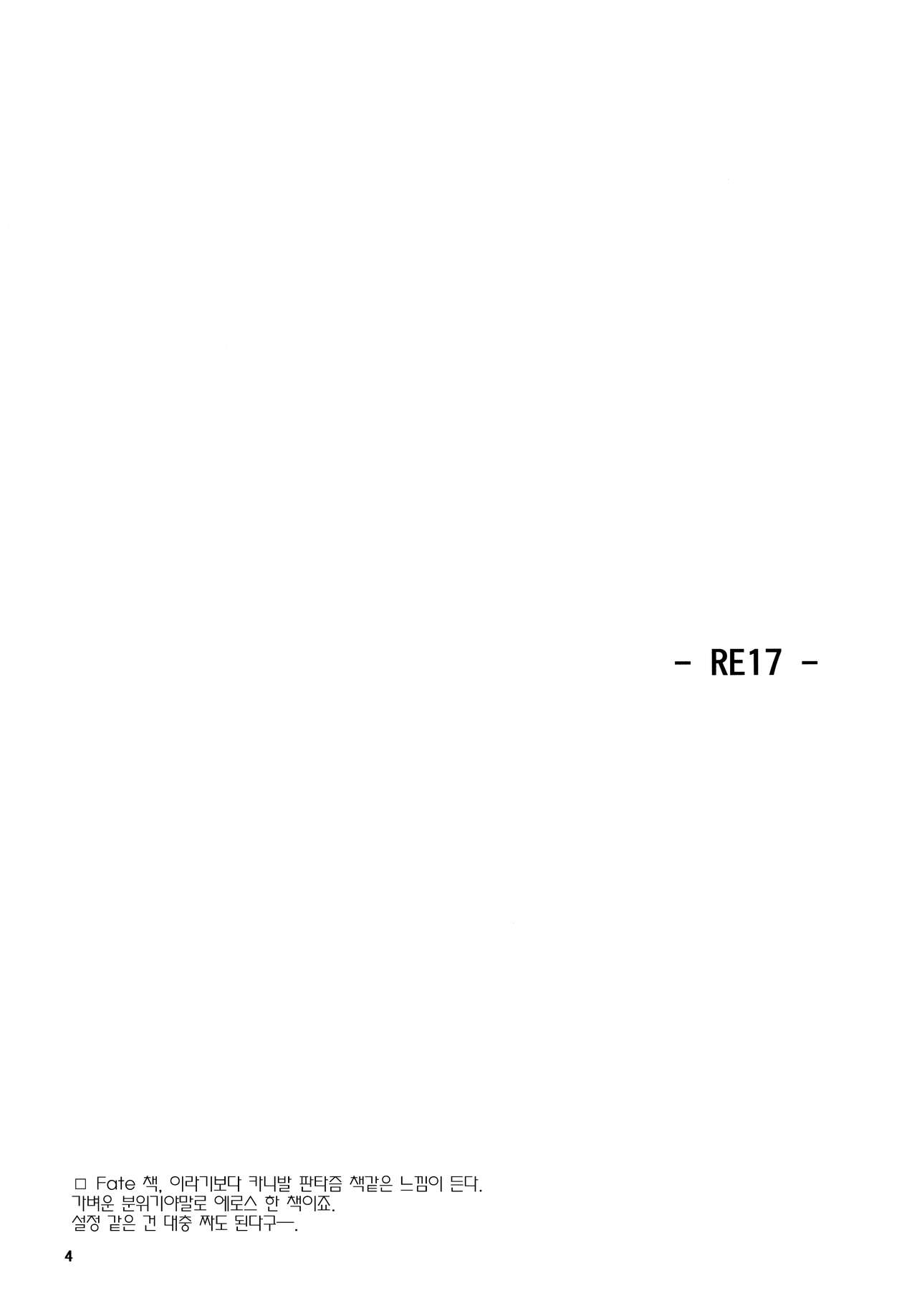 RE 17 page 3 full