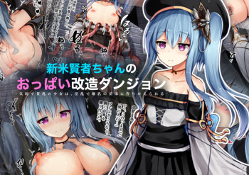 Shinmai Kenja-chan no Oppai Kaizou Dungeon -Kiyowa de Hinnyuu no Shoujo wa, Inran de Bakunyuu no Naedoko ni Tsukurikaerareru- cover