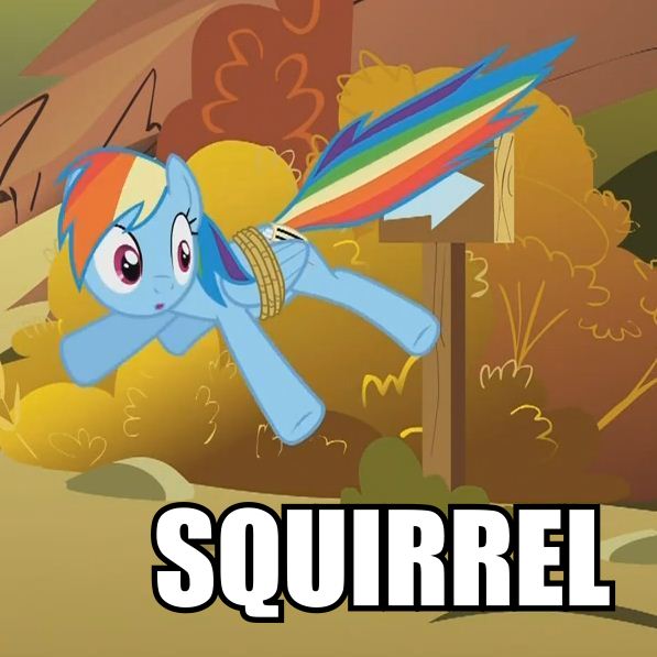 pbooru.com siterip 90,000~91,999 page 1 full