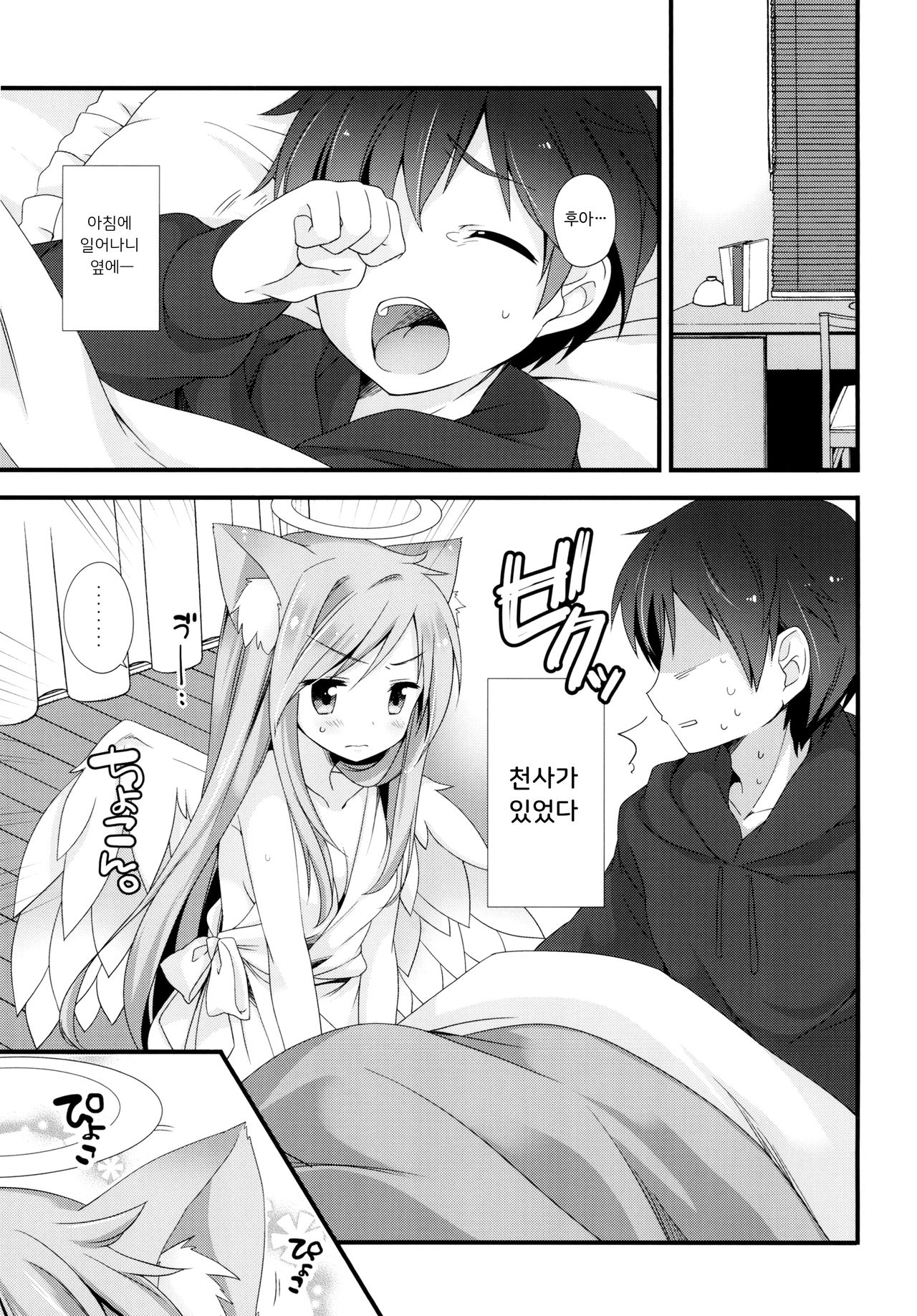Neko Tenshi-sama | 고양이 천사님 page 3 full
