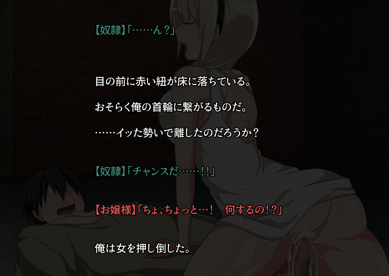 Do-S de Chijo na Ojou-sama no Seigangu ni Natta kedo Dorei Ochi Saseta page 10 full