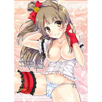 nuts berry Vol.9 LoveLive! Fan Book cover