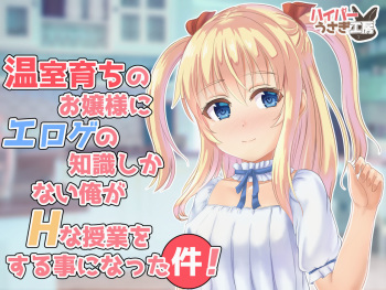温室育ちのお嬢様にエロゲの知識しかない俺がHな授業をする事になった件! cover