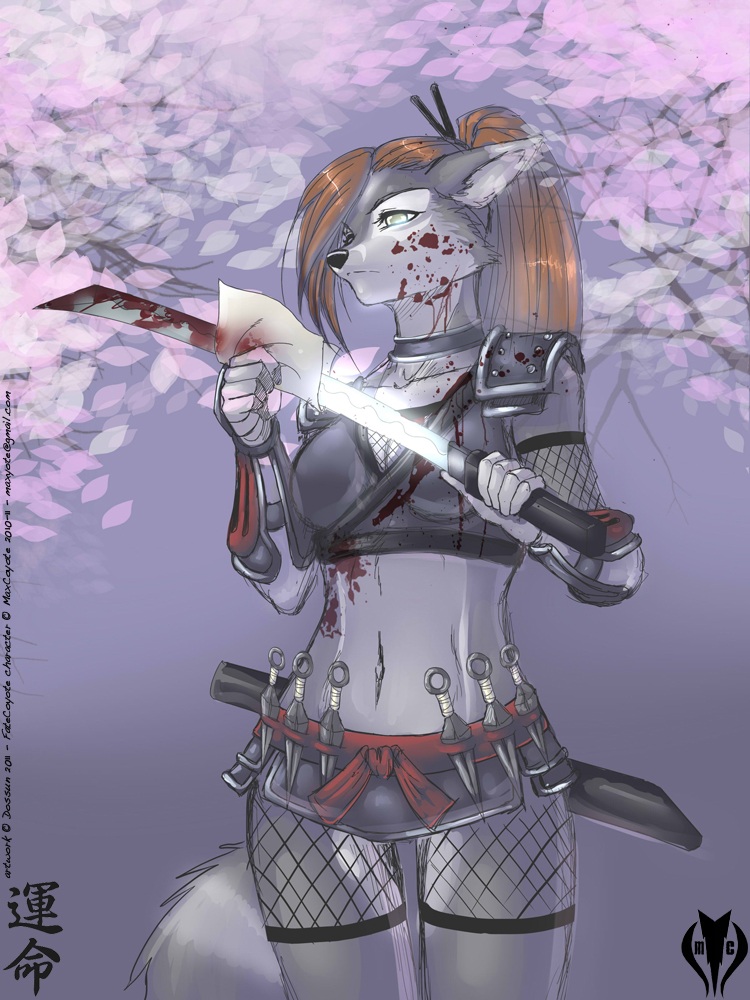 furry.booru.org siterip 148,000~149,999 page 3 full