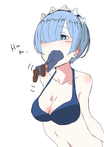 Rem vore cover