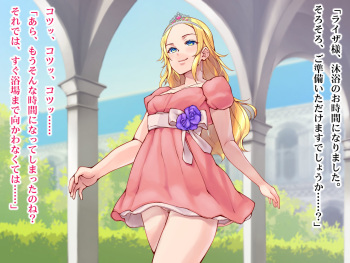 Mesubuta Hime ―Omae, Ohimesama nanka janakute Mesubuta dattandayo― cover