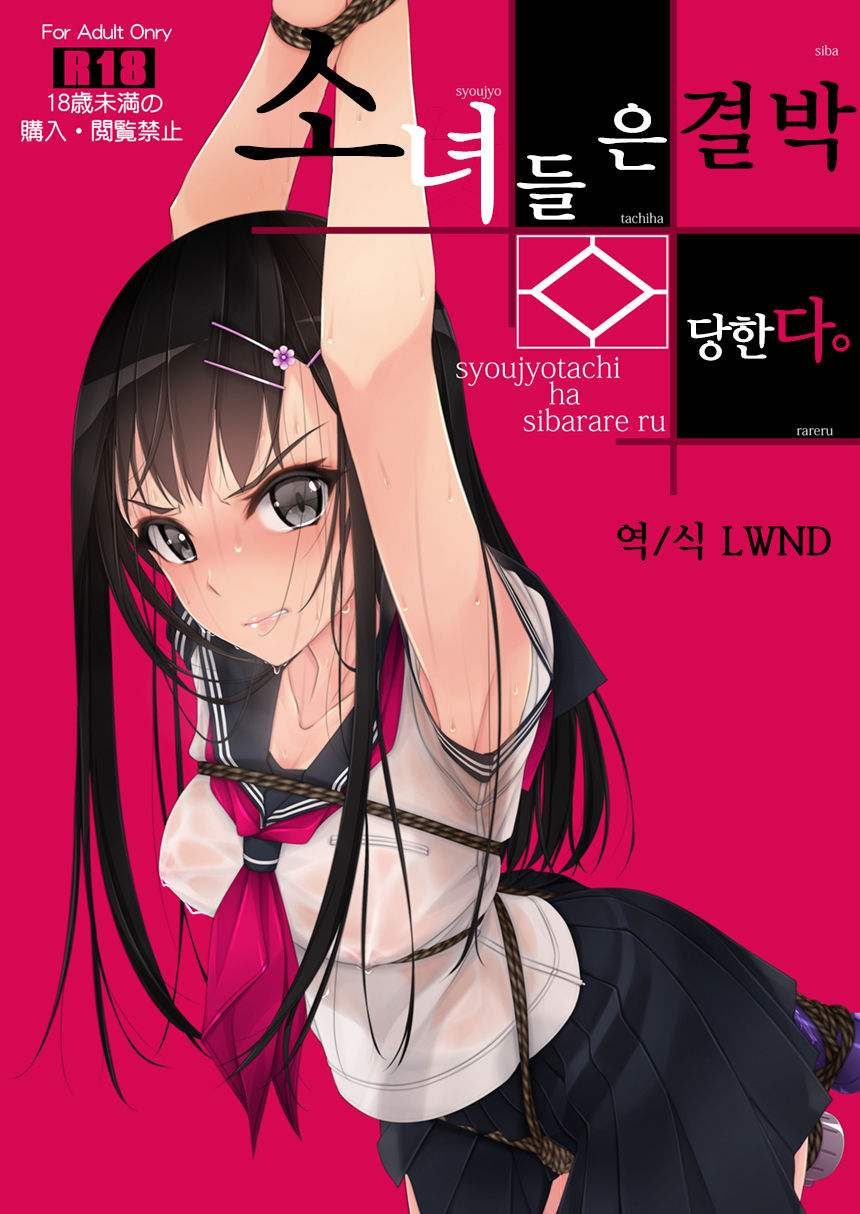 Shoujo-tachi wa Shibarareru. | 소녀들은 결박당한다. page 1 full