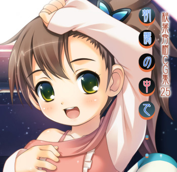 Asagiri no Naka de Akiba Hideki CG-Shuu 25 cover