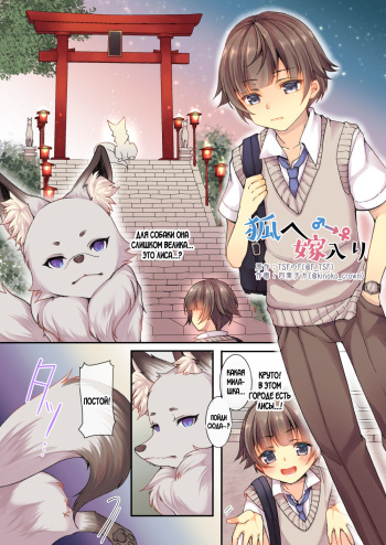 Kitsune e ♂→♀ Yomeiri cover