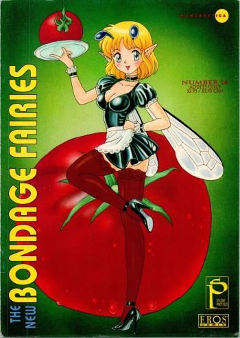 The New Bondage Fairies 16 cover